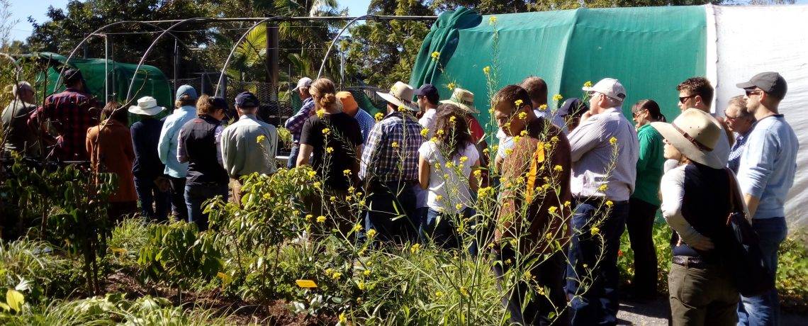 Guided Garden Tour, Saturday, 7 March, 9 – 11 am, 2020