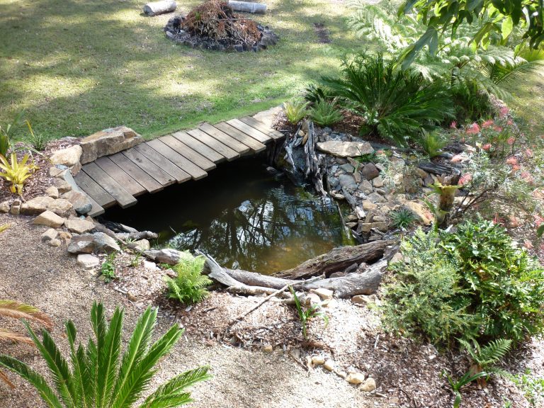 Book now for our to learn about frogs, frog ponds, native frogs and frog habitat