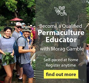 permaculture_education_institute