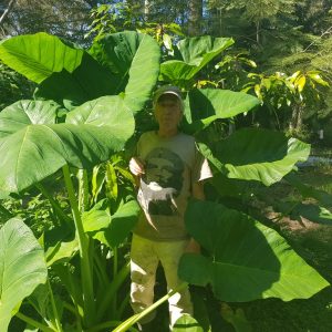 Saturday, 12th October 2019, 9 - 11am - Composting and Mulching your way to good health with Dave Clark